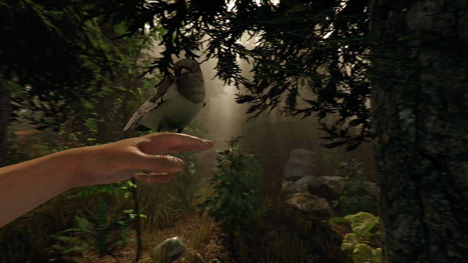 RÃ©sultat de recherche d'images pour "the forest game screenshot 2018"