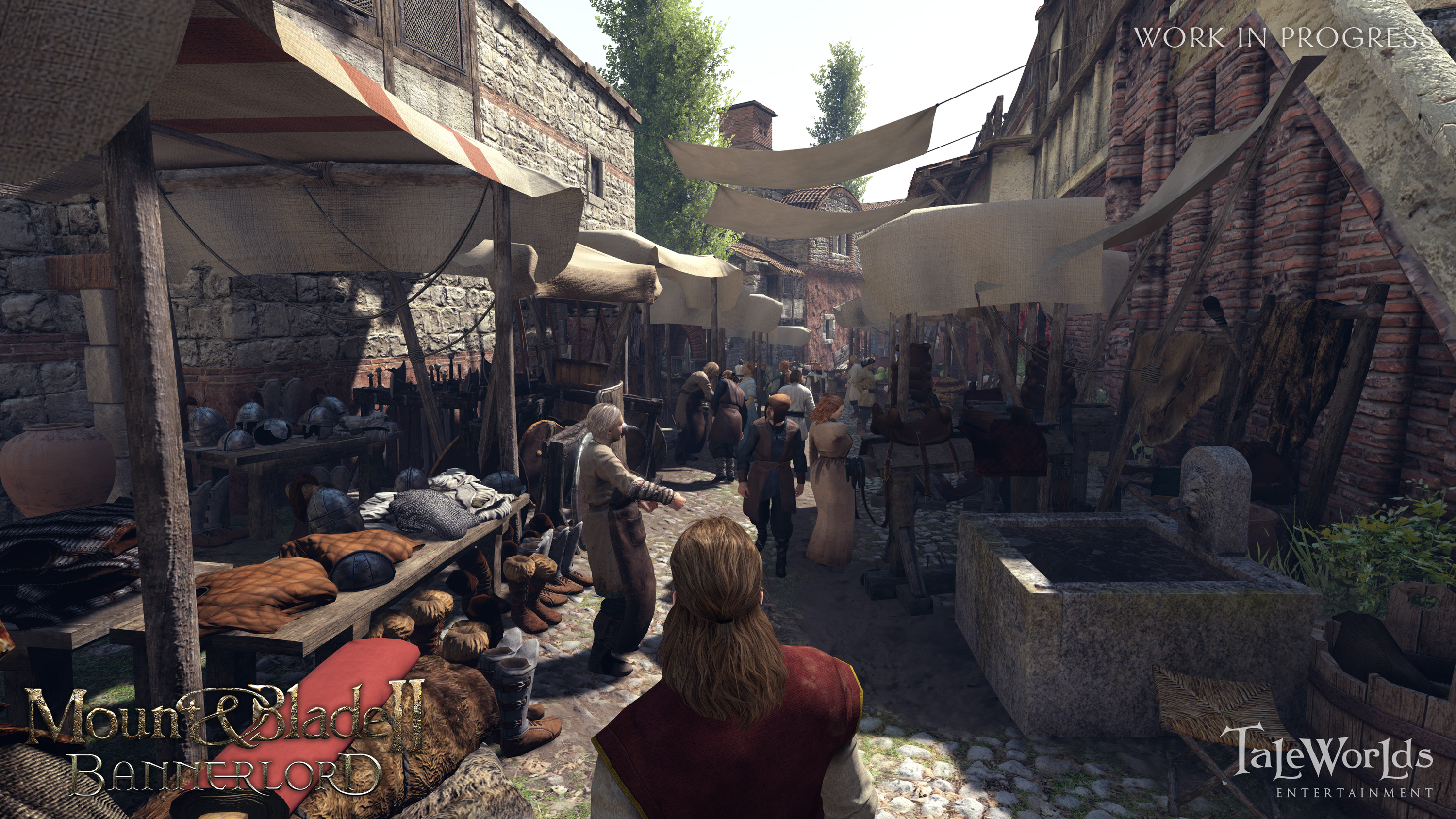 Mount and Blade II Bannerlord – In einer Stadt
