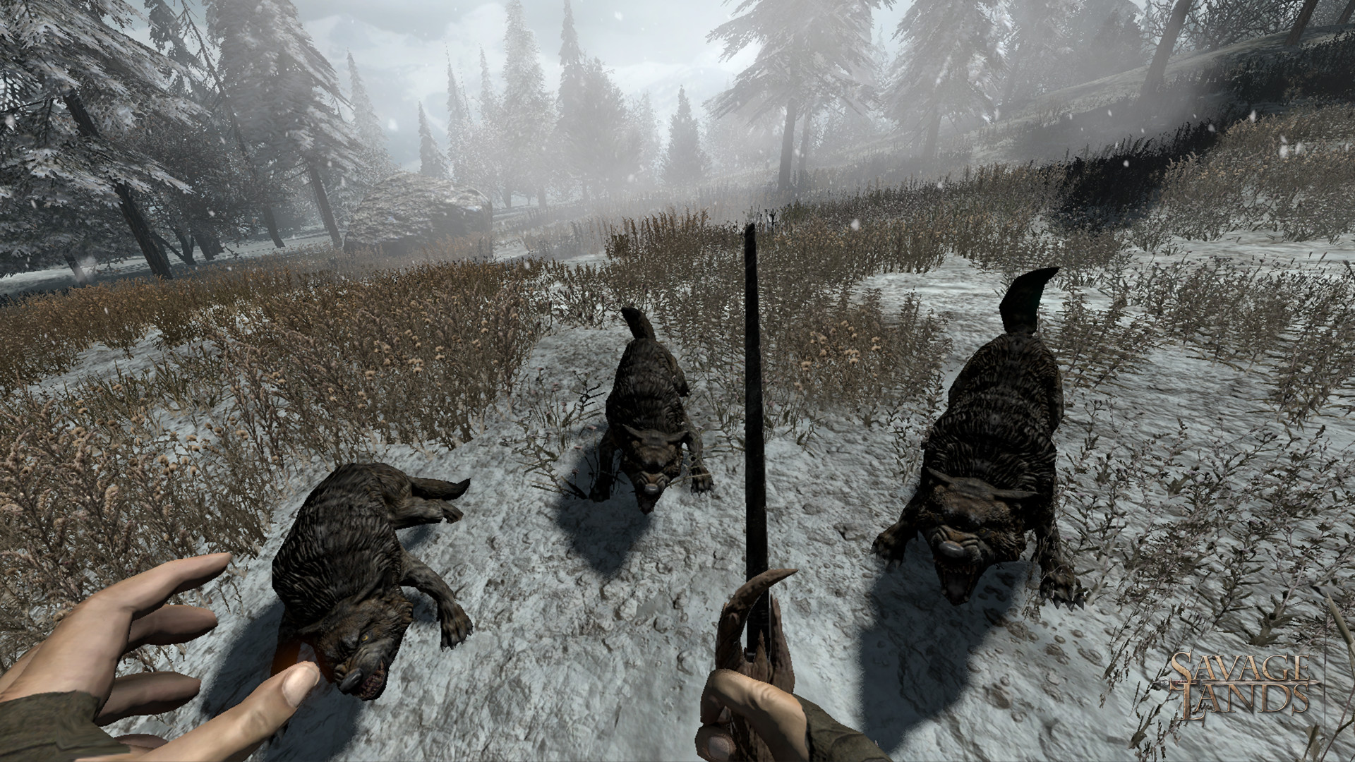 Savage Lands - Kampf gegen Wölfe.jpg