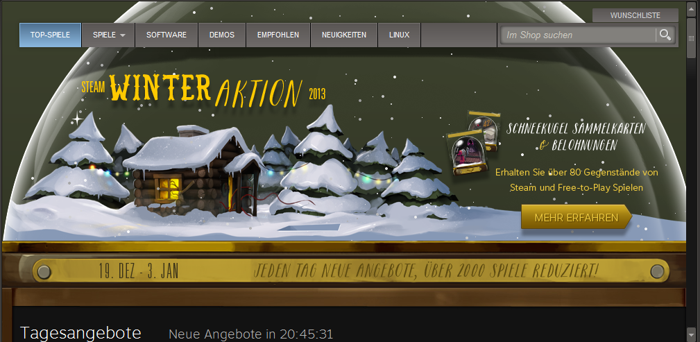 steam-winter-aktion-2013